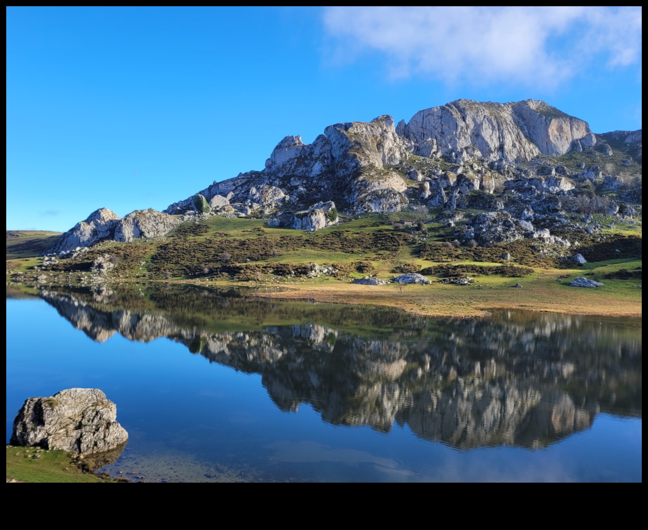 Care este impactul schimbărilor climatice asupra conservării peisajelor alpine?