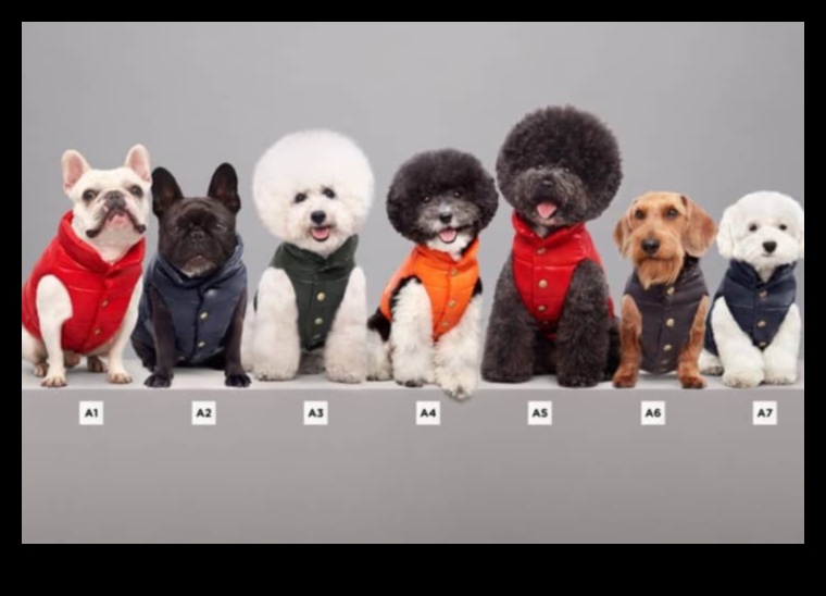 Canine Couture: accesorii elegante pentru câini pentru un cățel la modă