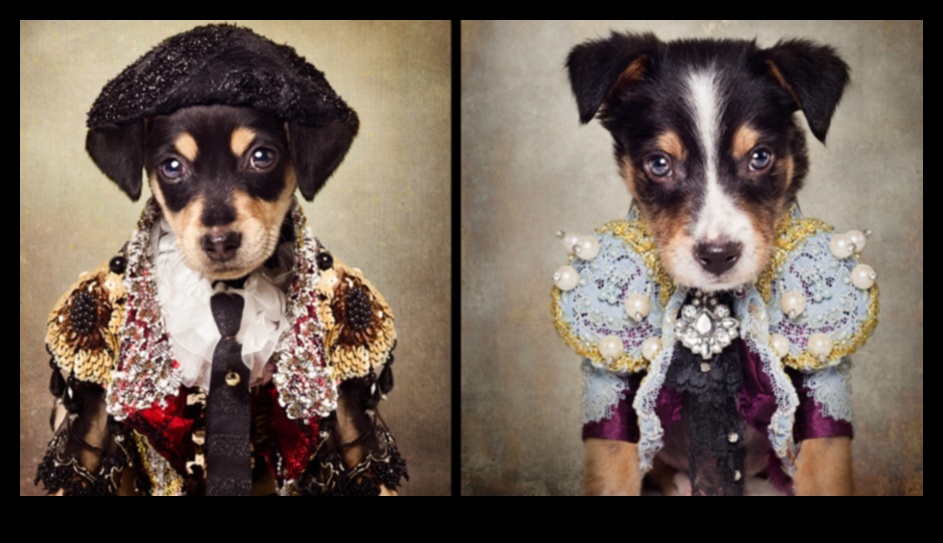 Canine Couture: accesorii elegante pentru câini pentru un cățel la modă