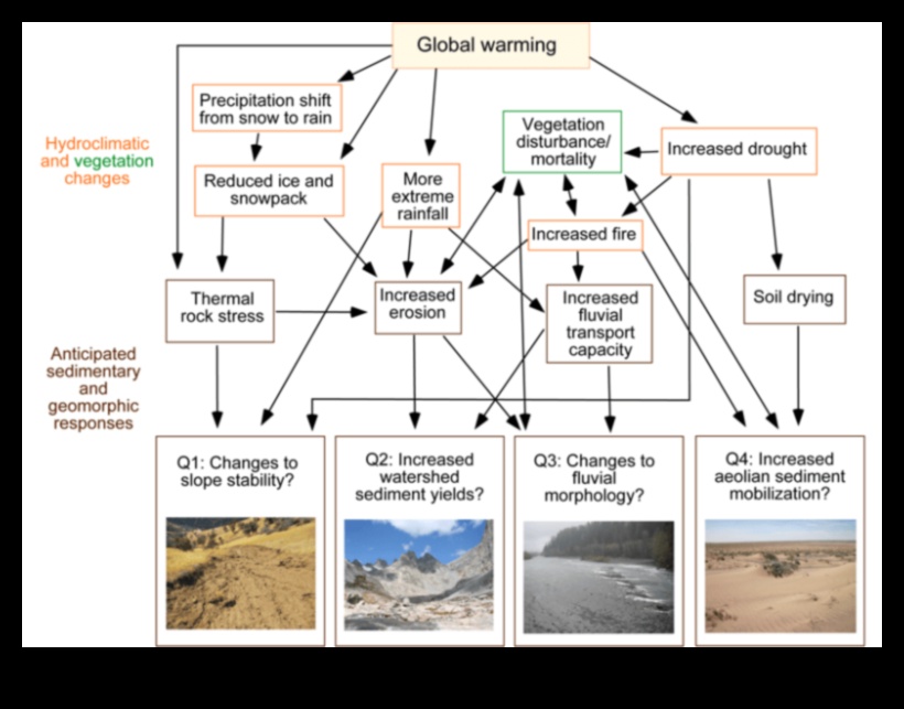 Cum afectează schimbările climatice și încălzirea globală peisajele?