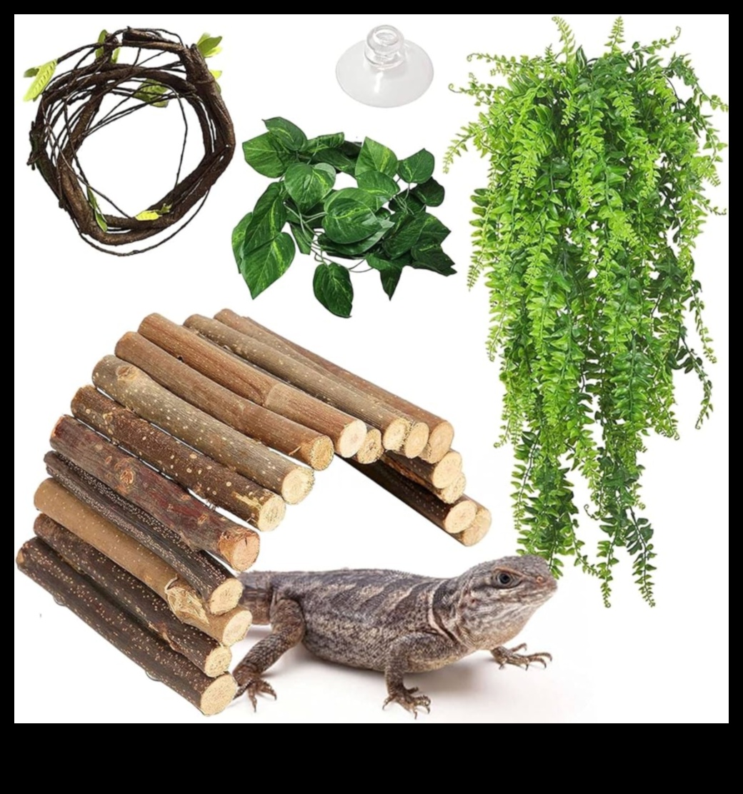 Reptile Retreat Continuare: Locuri de odihnă DIY pentru relaxare