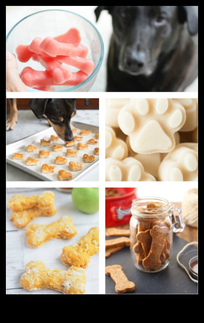 DIY Doggie Delights: Creați delicii sănătoase și gustoase acasă