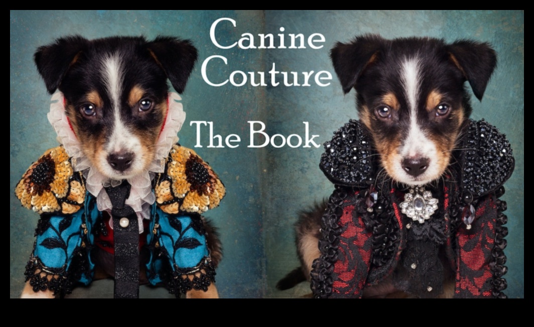 Canine Couture: Sfaturi de modă elegantă pentru prietenul tău blănos