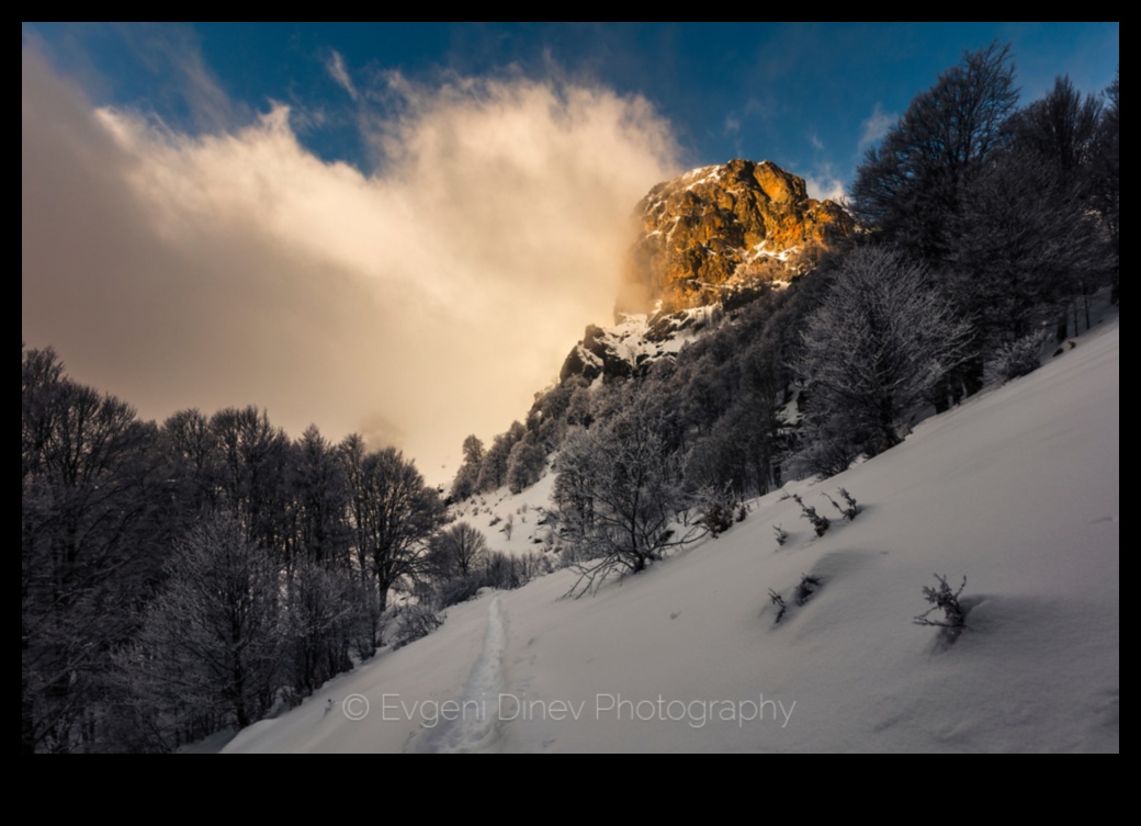 Cum influențează peisajele montane modelele meteo locale?