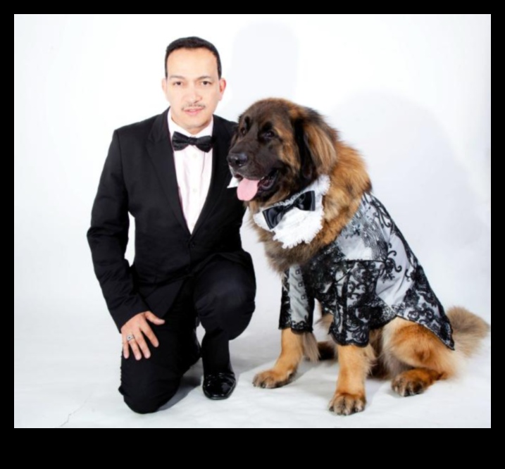 Canine Couture: accesorii elegante pentru câini pentru un cățel la modă