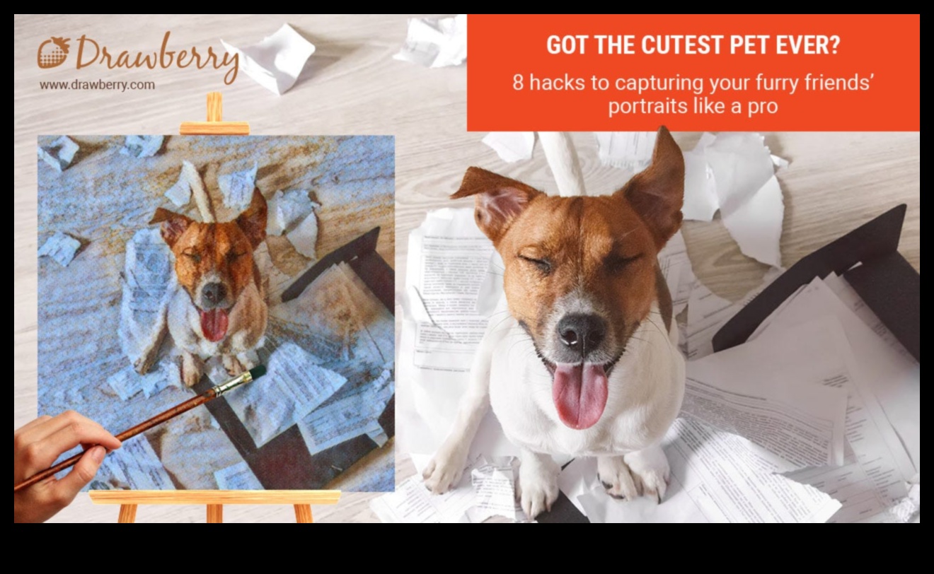 Pocket Pet Photography Play: Crearea de fotografii demne de Instagram